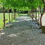 Historic Morelli De Rossi Semesterbostad Manzinello